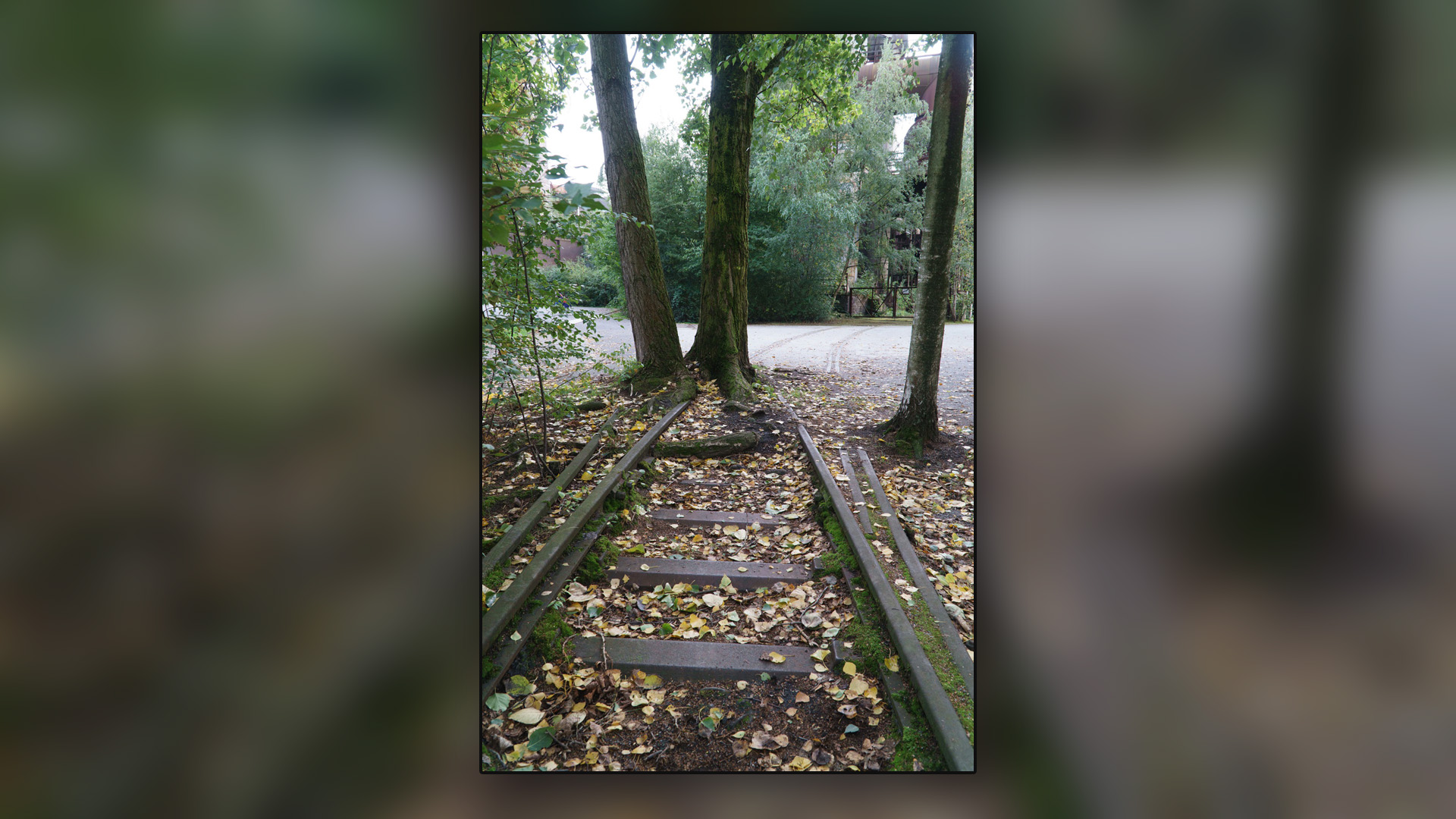 img-Ronald - Formen und Linien 4